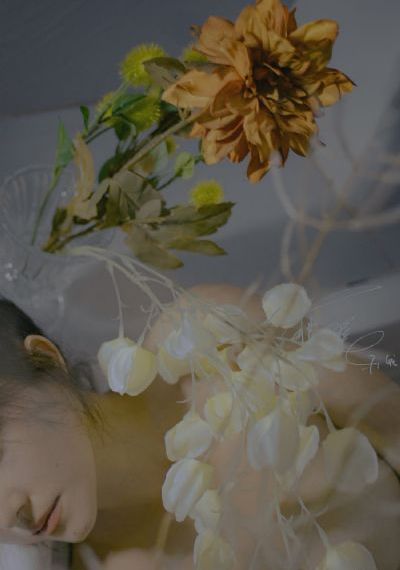 日韩黄毛片_暖暖免费观看视频